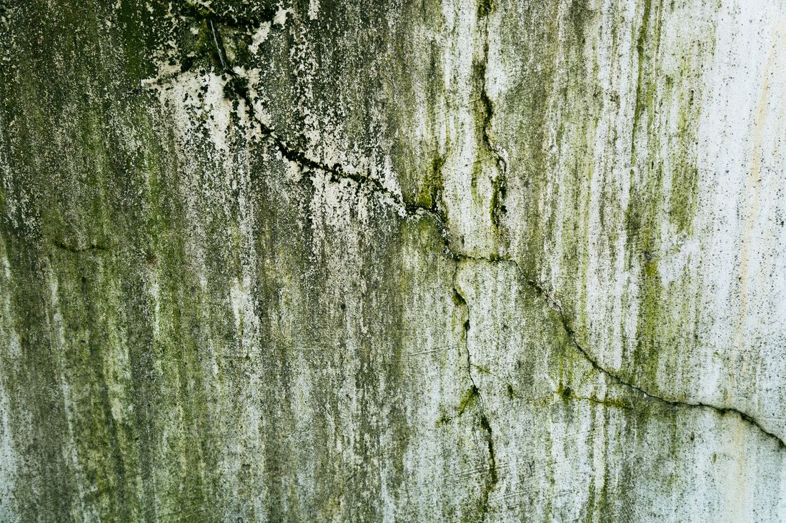 Vochtige wand met scheuren en groene aanslag op het pleisterwerk